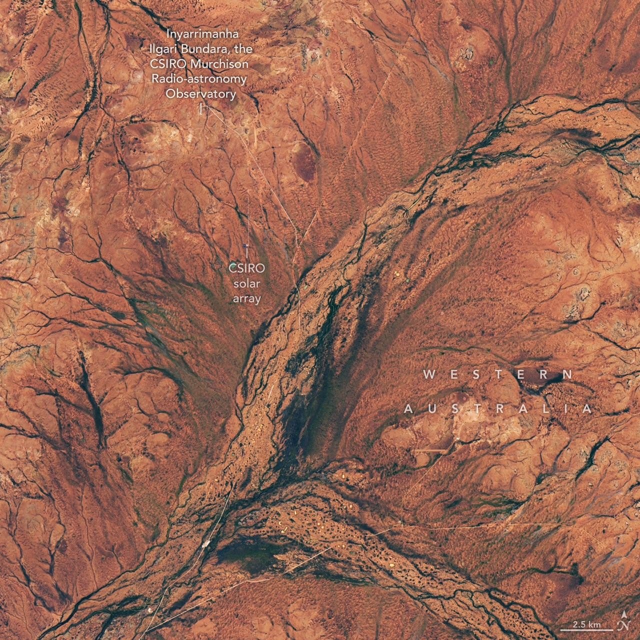 Land in the Western Australian outback appears mostly rusty orange but contains areas of green, especially in riverbeds.