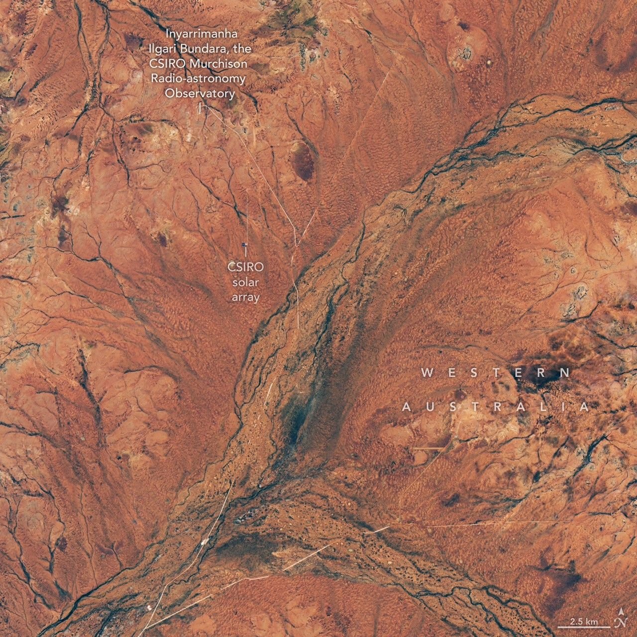 Branching riverbeds and roads cut through rusty orange land in the Western Australian outback.