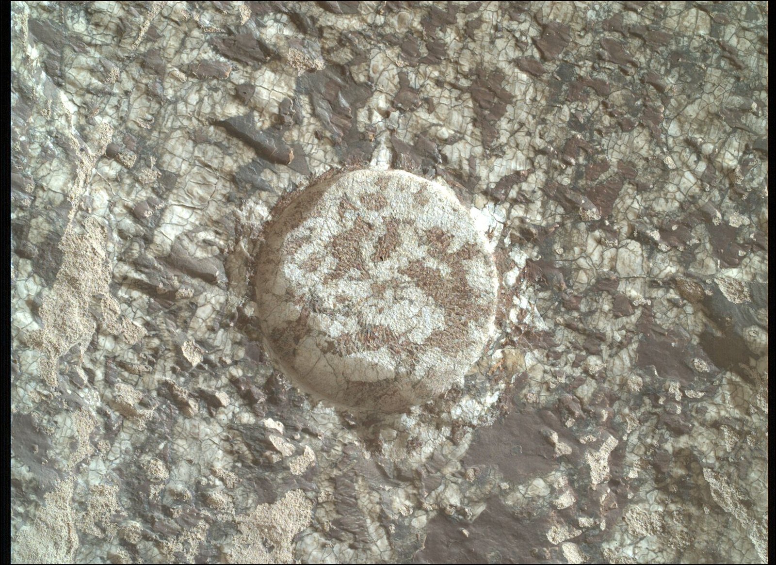 A close-up view of a rough, heavily cracked Martian rock surface. In the center is a perfectly circular, shallow, ground-down patch — created by the rover's abrasion tool — that exposes the freshly scraped rock underneath. The exposed interior within the circle is lighter in color with a speckled, mottled texture, contrasting with the darker, rougher, and dustier exterior of the surrounding rock.