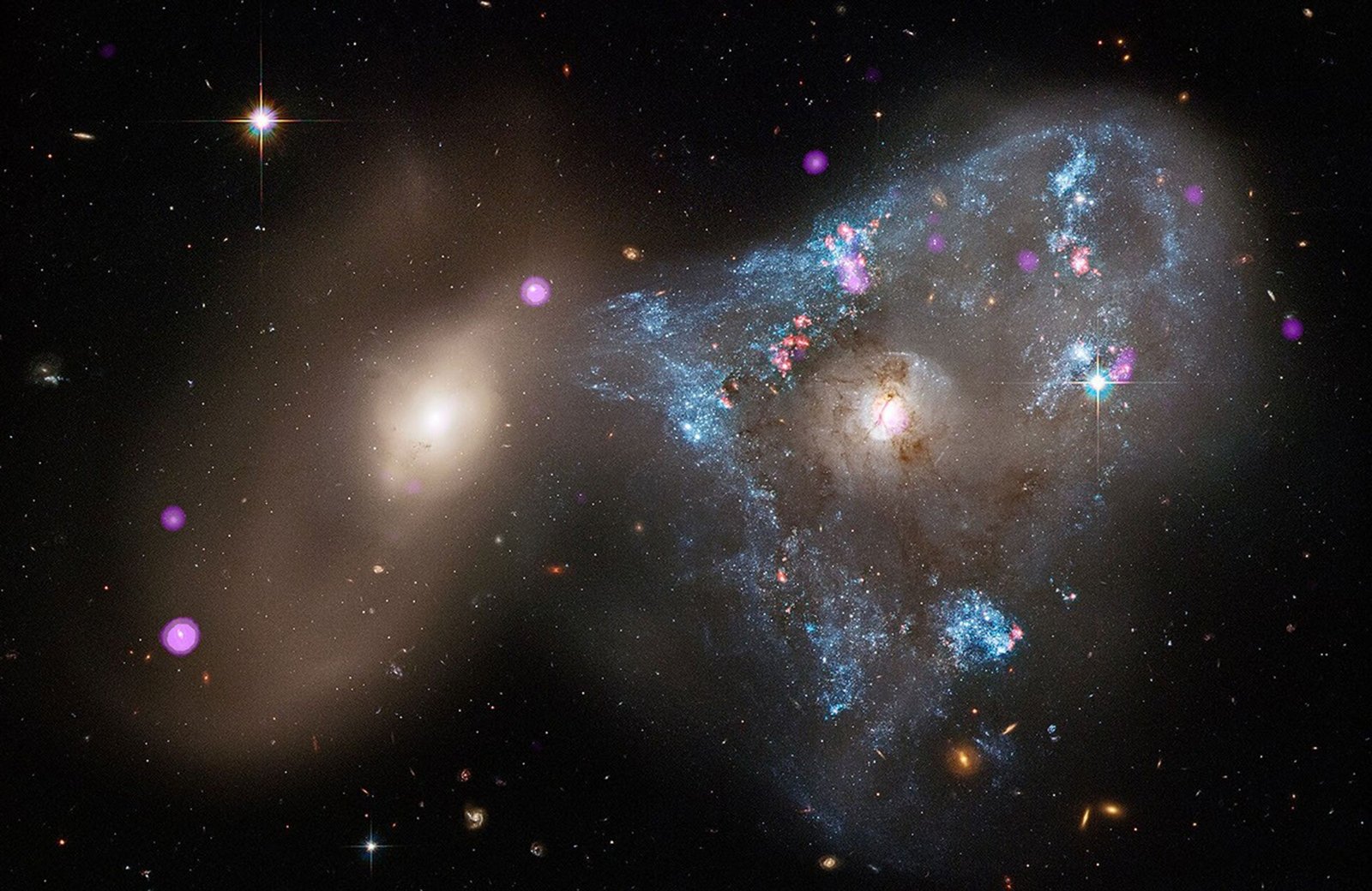 This ring galaxy system formed when a smaller companion galaxy punched straight through its center like a bullseye, creating a powerful cosmic shockwave. Chandra X-rays (purple) uncover bright X-ray binary systems scattered along the collision shock wave, laid over Hubble’s optical image (blue and white) of expanding stellar rings. Such head-on collisions can trigger vast ripple effects, sparking huge waves of star birth across entire galaxies.