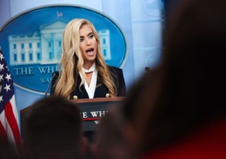 Anthony Scaramucci Says the Universe Did Katie Zacharia a Favor