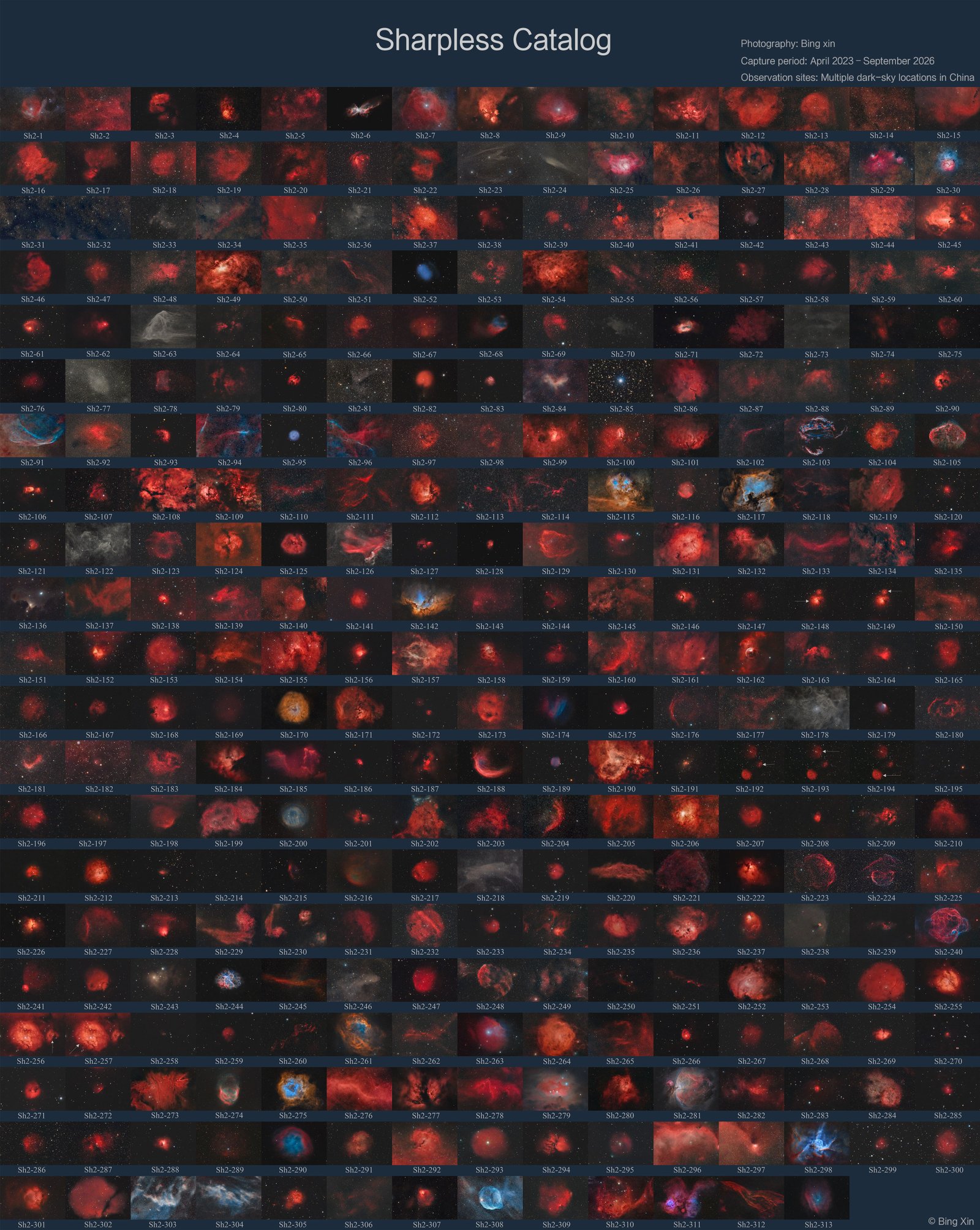 313 separate images of nebulae that resemble a variety of shapes and brightnesses. Some are dim and whispy, others are bright and create structure. Each image traces the complex behavior of interstellar gas.