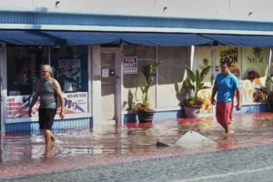 Forecasters are predicting a warmer and wetter winter. Here’s how El Niño will affect your region.