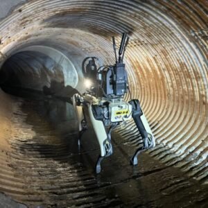 ICE plan to buy robot dogs spurs protest from hundreds of Boston Dynamics employees