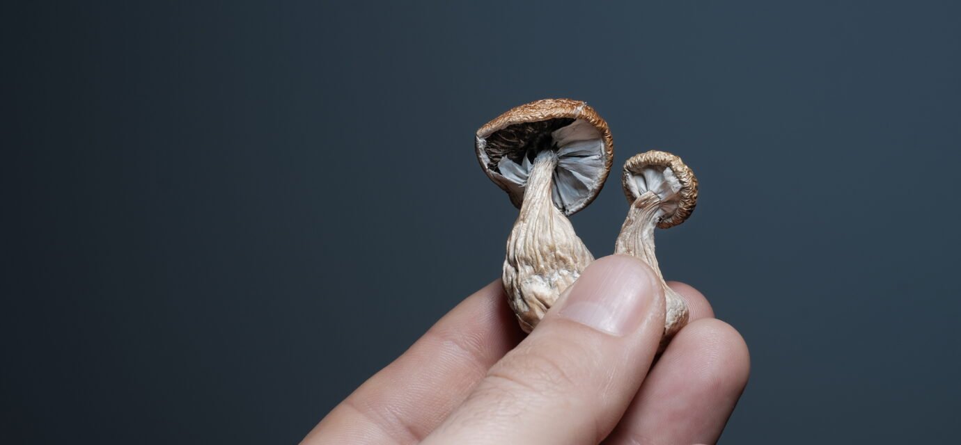 New human data hints at psychedelics’ potential to combat inflammation