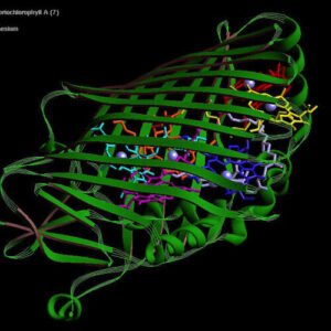 Vibe genes? Natural(ish) language comes to protein, genome design software